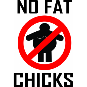 Наклейка на машину "No Fat Chicks или Толстух не вожу Полноцветная"