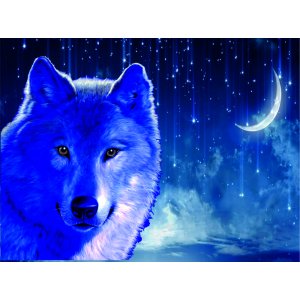 Наклейка на машину "Волк и звездное небо версия 3 полноцветная"