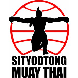 Наклейка на машину "Тайский бокс версия 5. Muay Thai. Sityodtong"