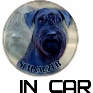 Наклейка на машину "В машине собака. Мой Schnauzer в машине"