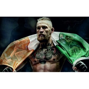 Наклейка на машину "UFC Ultimate Fighting Championship полноцветная версия 1"