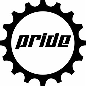 Наклейка на машину "Pride Car Audio logo версия 2"