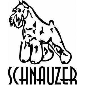 Наклейка на машину "Шнауцер версия 7. (Schnauzer). Собака в машине"