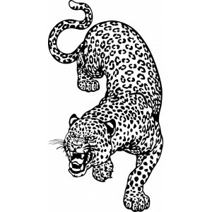 Наклейка на машину "Леопард версия 5"