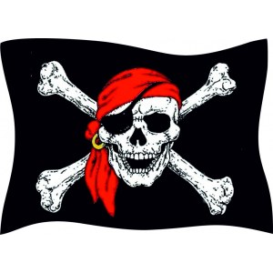 Наклейка на машину "Пиратский флаг. Череп